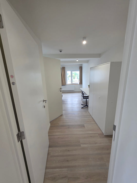 Studio: 1.1 - 24m²