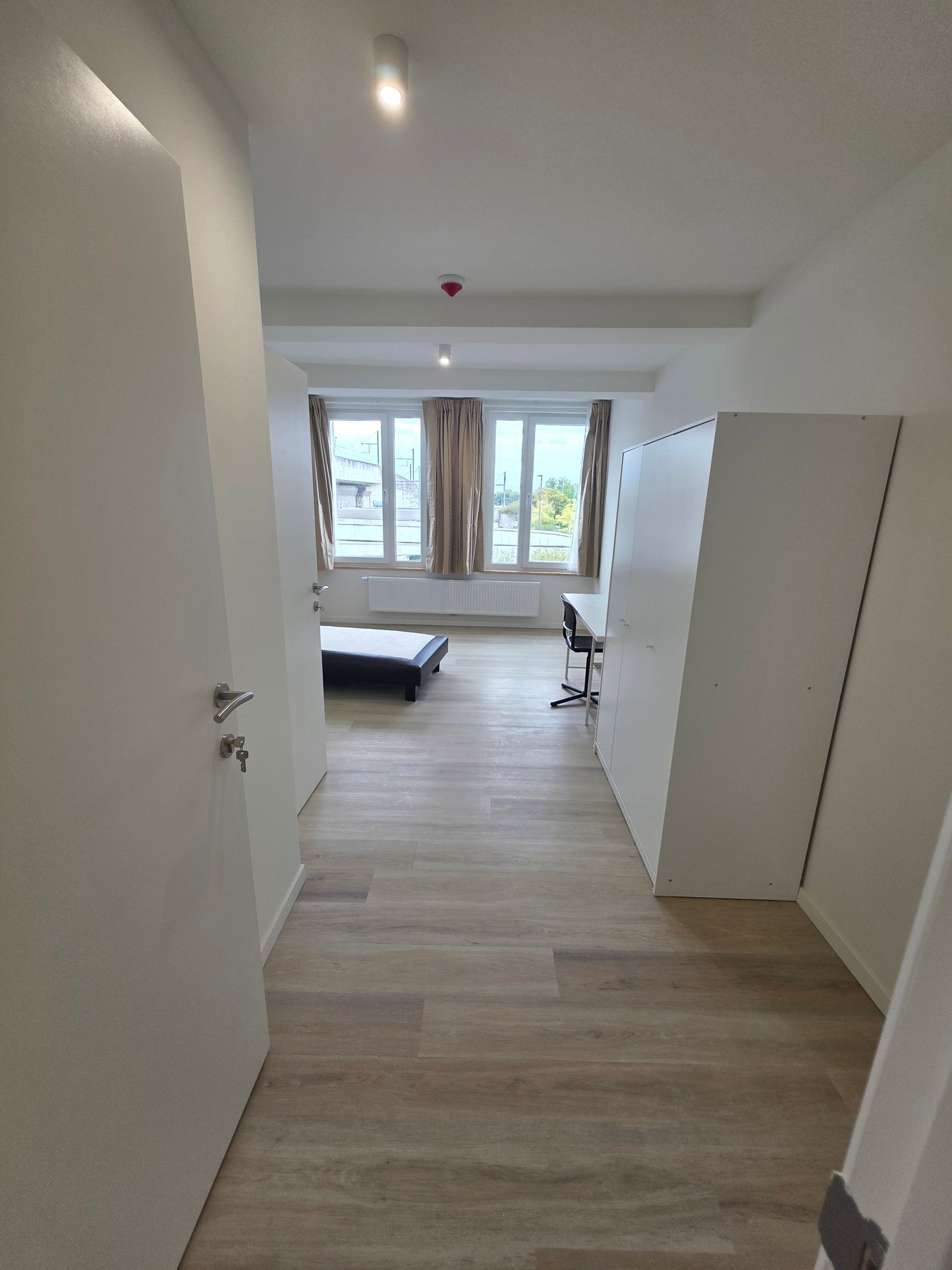 Studio: 1.1 - 24m²