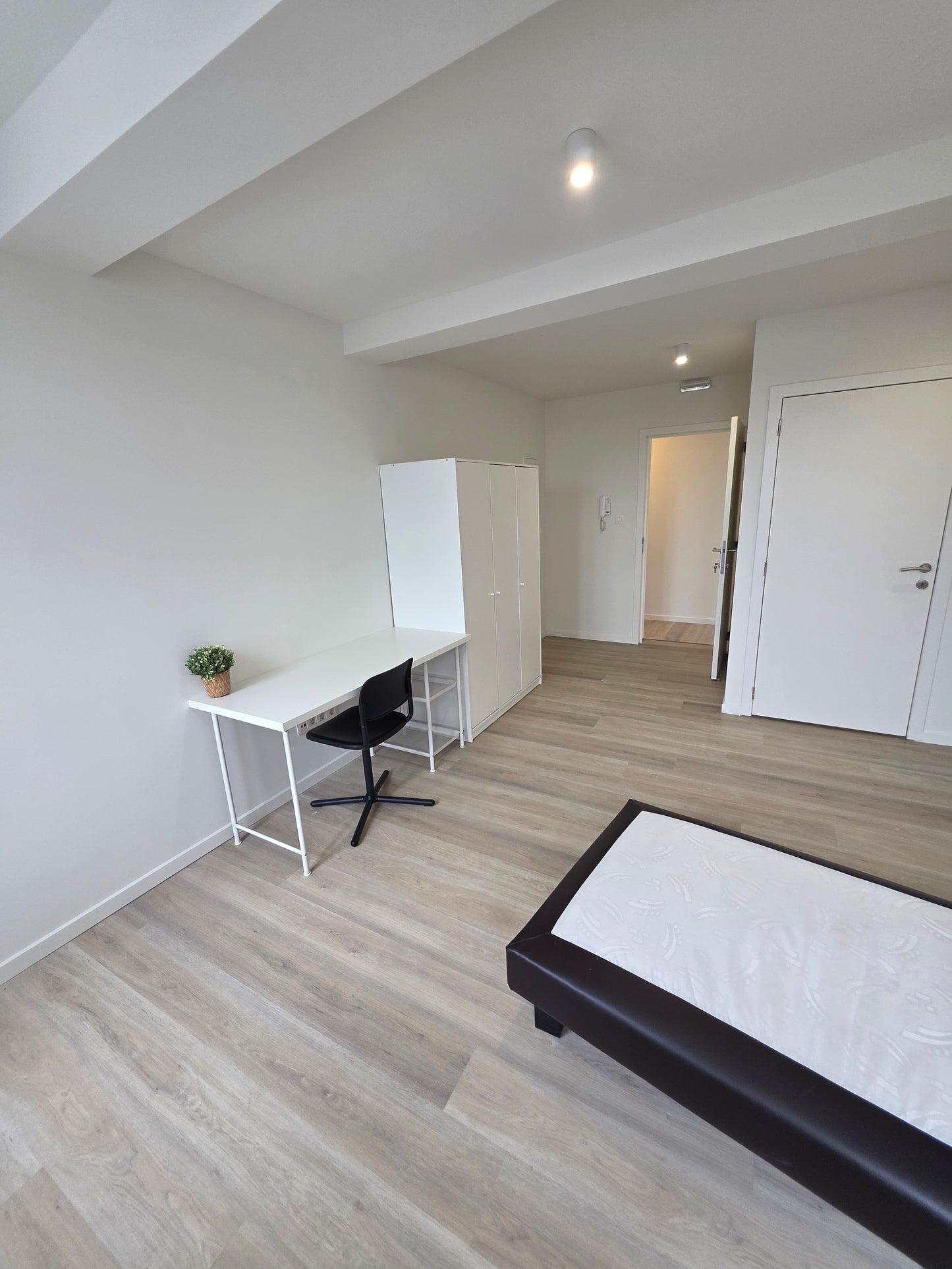 Studio: 2.1 - 24m²