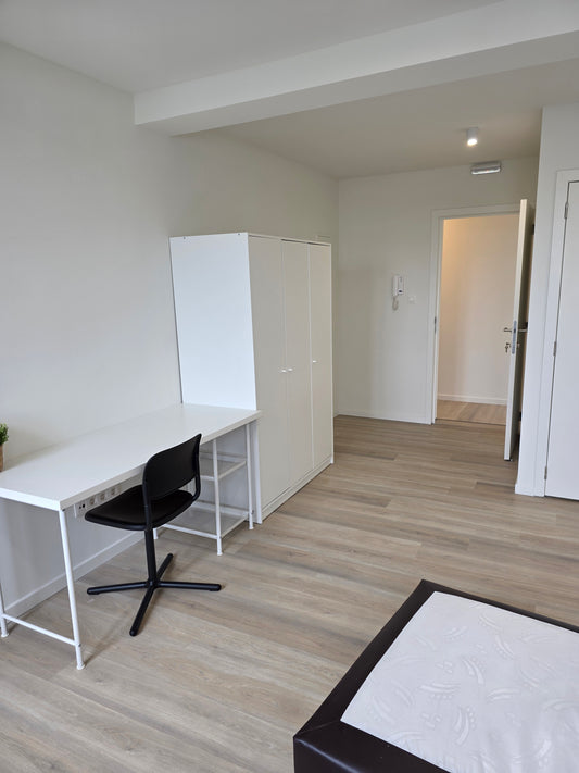 Studio: 1.2 - 24,2m²