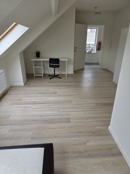 Studio: 3.0 - 26m²