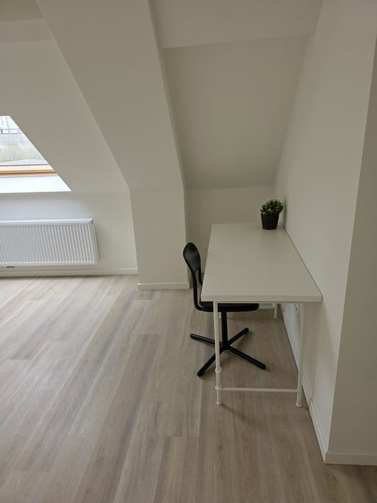 Studio: 3.0 - 26m²