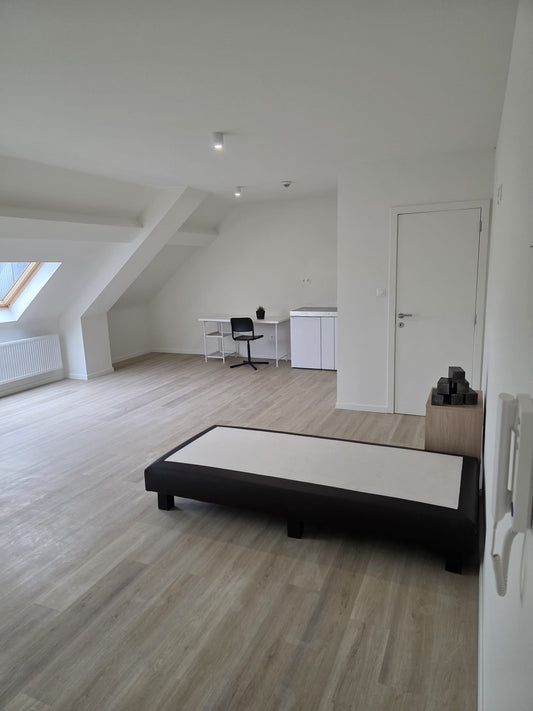 Luxe Studio: 3.1 - 41.5 m²